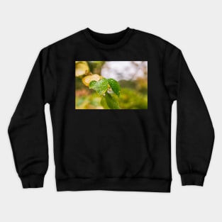 Early Autumn leaves Crewneck Sweatshirt